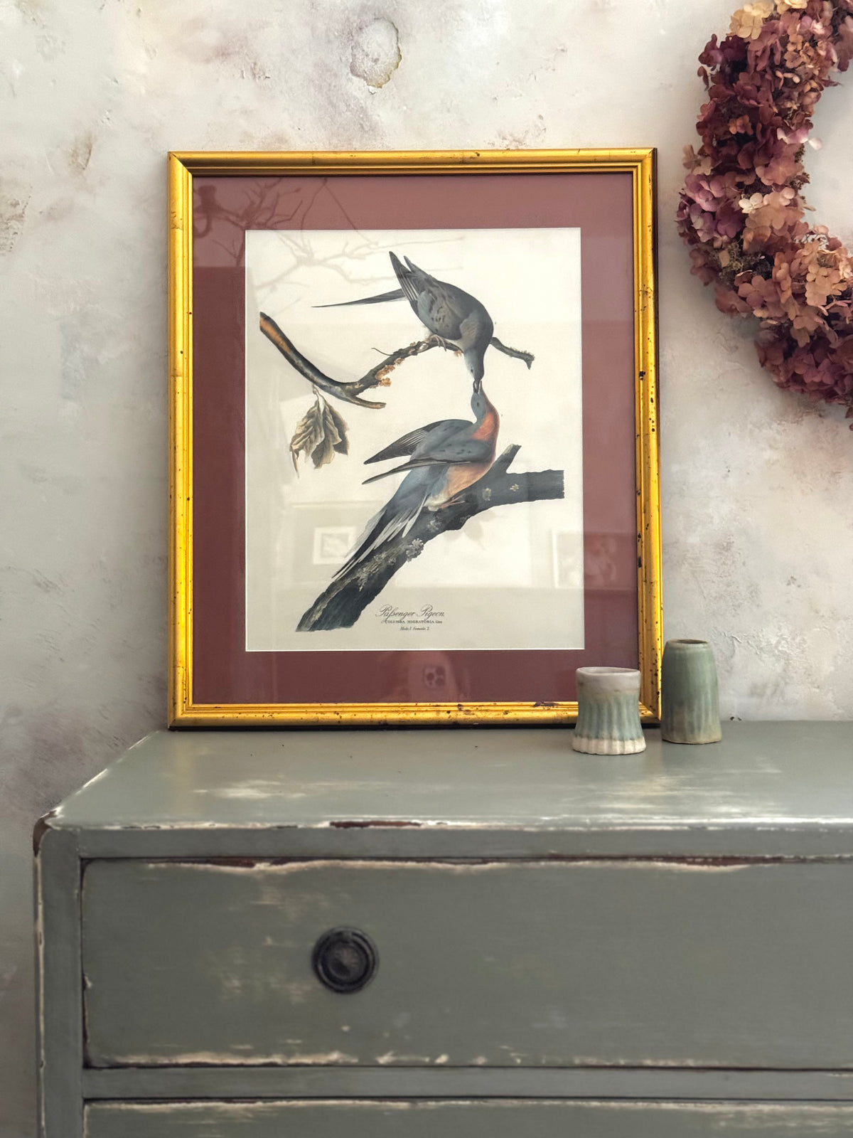 Passenger Pigeons — Vintage Framed Bird Print