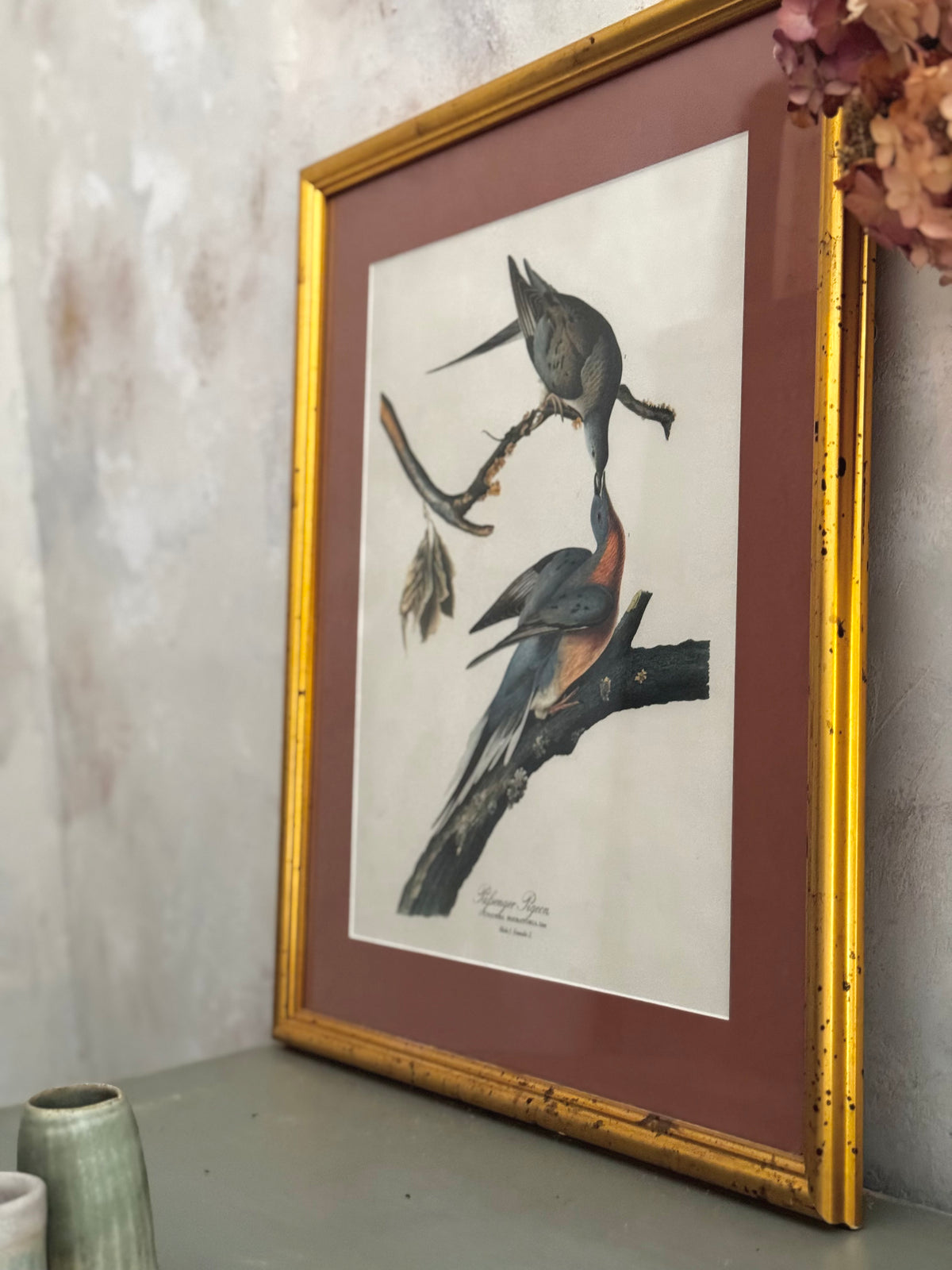 Passenger Pigeons — Vintage Framed Bird Print