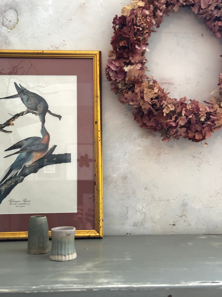 Passenger Pigeons — Vintage Framed Bird Print