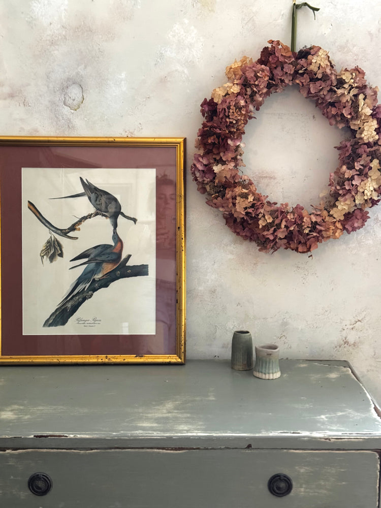 Passenger Pigeons — Vintage Framed Bird Print